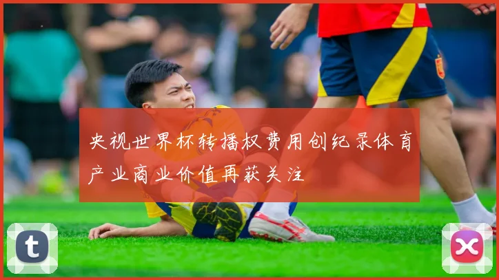 央视世界杯转播权费用创纪录体育产业商业价值再获关注