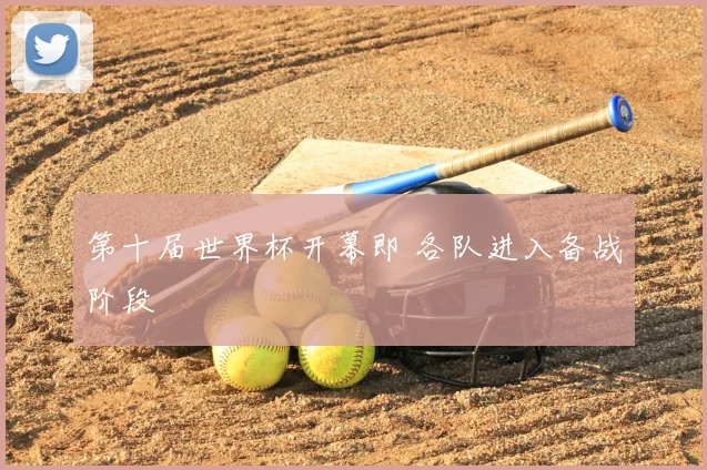 第十届世界杯开幕即 各队进入备战阶段