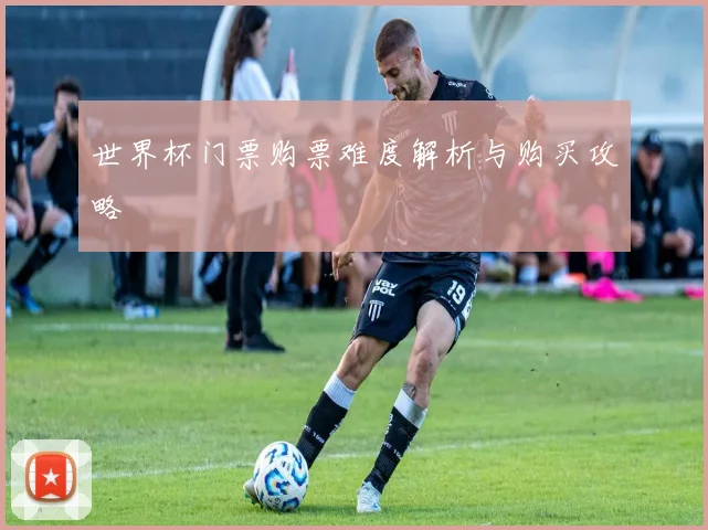 世界杯门票购票难度解析与购买攻略