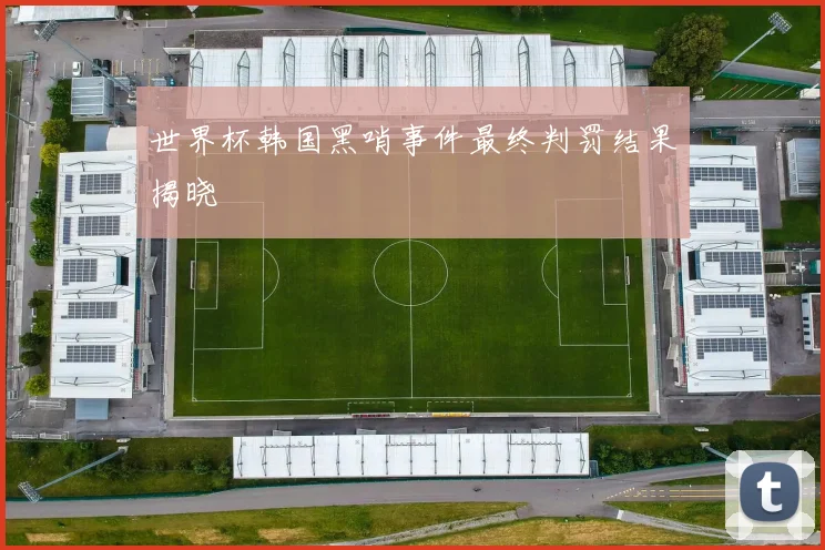 世界杯韩国黑哨事件最终判罚结果揭晓