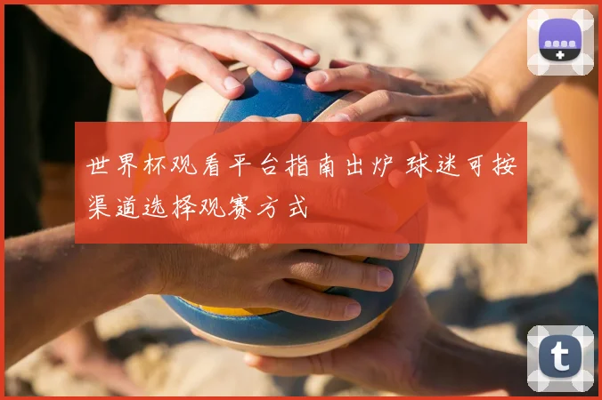 世界杯观看平台指南出炉 球迷可按渠道选择观赛方式